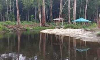 Imagem 4: Vendo Lindo Balneário localizado na Rodovia AM 240 km 70, próximo à Vila de Balbina