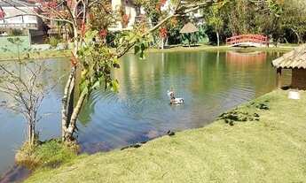 Imagem 6: Imóvel diferenciado, com iluminação extremamente privilegiada, ambientes integrados e bast