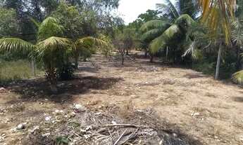 Imagem 1: Vendo terreno em porto de Sauípe