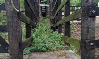 Imagem 5: Sítio Tamarino - Imovel Rural - 24ha - 240.000,00m Aluguel Natuba, Vitória de Santo Antão