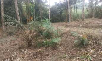 Imagem 5: Terreno com poço artesiano 1600 mts² 200mts do asfalto