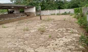 Imagem 2: Sítio Tamarino - Imovel Rural - 24ha - 240.000,00m Aluguel Natuba, Vitória de Santo Antão