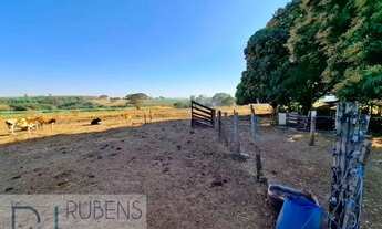 Imagem 4: CEDRAL (SP) Sítio 1,36 alqueires