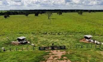 Imagem 6: Fazenda de 721 alqueires em São Miguel do Araguaia-Go