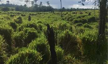 Imagem 4: Vende-se Fazenda na beira da BR 174