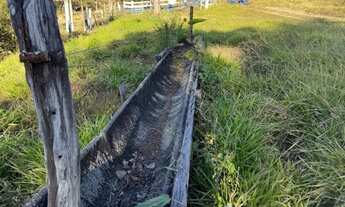 Imagem 2: Sítio em Itapuranga