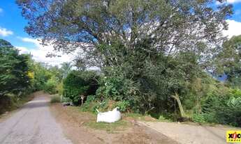 Imagem 2: Terreno para Venda em Nova Petrópolis, Pinhal Alto