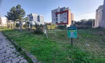 Imagem: Terreno plano a venda em loteamento com