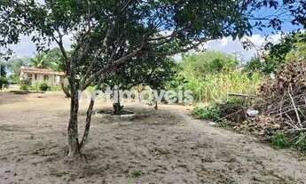 Imagem 3: Venda Lote-Área-Terreno Santo Antônio dos Prazeres Feira de Santana