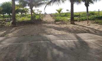 Imagem 7: Final de ano em milagres