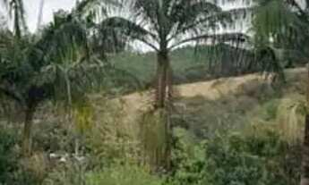 Imagem: Chácara em Jarinu 180m construídos 2500m