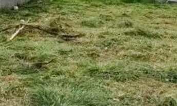 Imagem 3: Terreno à venda por R$ 585000.00, 510.00 m2 - SAO JOAO DO RIO VERMELHO - FLORIANOPOLIS/SC