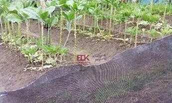 Imagem 3: Sítio à venda, 20000 m² por R$ 960.000,00 - São Silvestre (São Silvestre) - Jacareí/SP