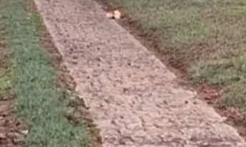 Imagem 3: Chácara em Jarinu 180m construídos 2500m total