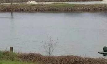 Imagem: Fazenda de Piscicultura