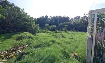 Imagem 4: Terreno à venda Laranjal