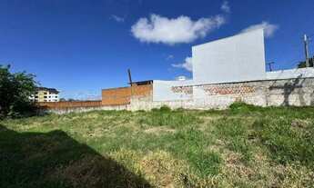 Imagem: Terreno no Pioneiros Catarinense com 405