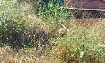 Imagem: Vendo terreno