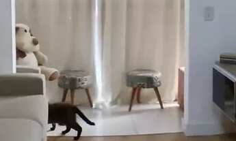 Imagem: APARTAMENTO NO CONDOMÍNIO CLUBE VILLAGIO