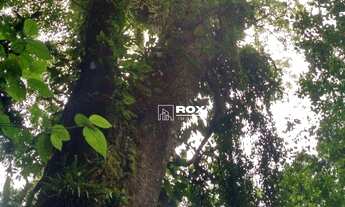 Imagem 5: Terreno/Fazenda à venda por R$ 3.900.000 - Campina Grande do Sul/PR