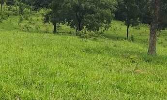 Imagem 4: Chácara em Pontalina