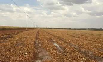 Imagem 2: Sitio em Ipuã s.p 24 alqueires 13.200.000.00 ( du