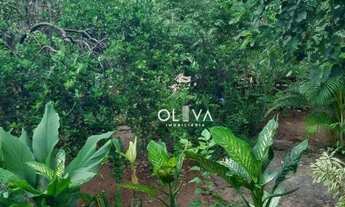 Imagem 4: Chácara com 2 dormitórios à venda, 1000 m² por R$ 300.000,00 - Residencial Vista Alegre I