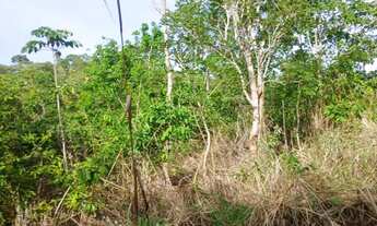Imagem 6: Vendo chácara em jaraguá Góias aceito propostas pego carro também