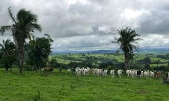 Imagem 6: Chácara à Venda em São Luís de Montes Belos-GO 6 Alqueires