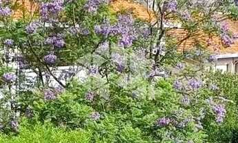 Imagem 2: Apartamento de 3 dormitórios, possibilidade do 4º, com garagem no Bairro Petrópolis próxim