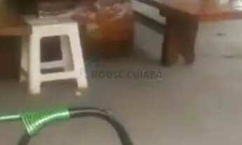 Imagem 6: Chácara 02 hectares na região do bandeira sentido chapada 18 km da fundação Brad