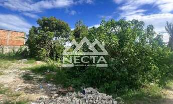 Imagem 7: Terreno à venda em Caragua, Jardim das Gaivotas