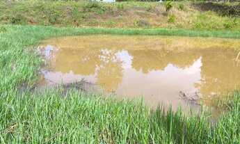 Imagem 5: Vende-se 7 alqueres município de Goiás velho