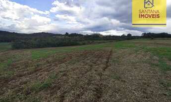 Imagem 3: Terreno à venda, 36905 m² por R$ 1.150.000,00 - São Caetano - Balsa Nova/PR