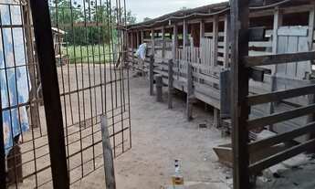 Imagem 7: Sitio Chácara com venda por R$300.000