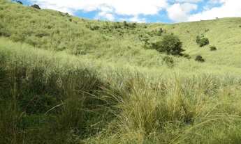 Imagem 5: Fazenda 435 alqueires ,município de Itambacuri -MG