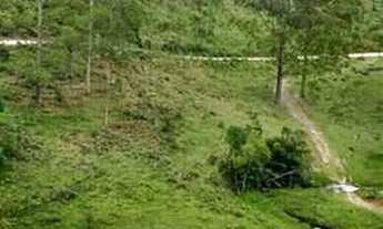 Imagem: Vendo ou troco sitios de 2,4,8,12 equitares