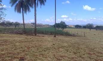 Imagem 2: Fazenda na Cidade de Araguari