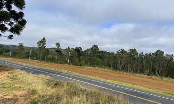 Imagem 2: Terreno beira Rodovia pr 151 - Ligação PR - SP