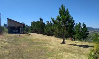 Imagem 3: Venda - Chácara em Torre de Pedra/SP
