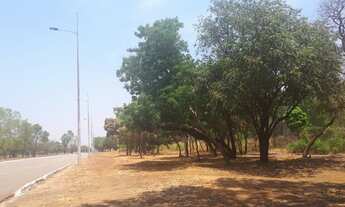 Imagem 2: Vende-se lote na Avenida Teotônio Segurado