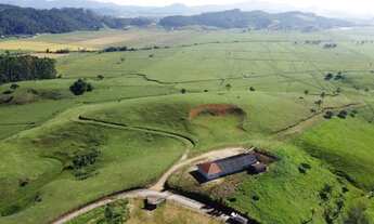 Imagem 6: FAZENDA - 43 HECTARES - 5 km da BR