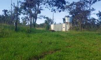 Imagem 2: Capeira do Balsamo Trecho 07 Rua 03 Chacara 06 Fazenda Paranoa