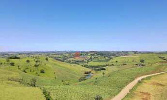 Imagem 3: Fazenda à venda, 33 alqueires por R$ 6.000.000 - Zona Rural - Palmital/PR