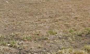 Imagem 3: UBERLâNDIA - Terreno Padrão - Jardim América I