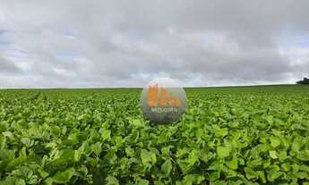 Imagem 6: Fazenda à venda, 19 alqueires por R$ 5.000.000 - Zona Rural - Piracanjuba/GO