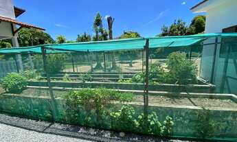 Imagem 3: Casa na Santa Amélia