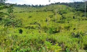 Imagem 4: Lotes formados na região de ruropolis PA dão vários lotes