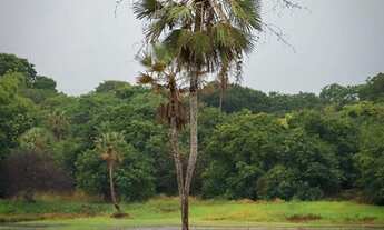 Imagem 2: FG Loteamento Reserva Camará a 7 km do Centro de Eusébio! Condomínio Fechado 1 6 10 9 5