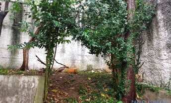 Imagem 6: CASA ASSOBRADADA - JABAQUARA - SP